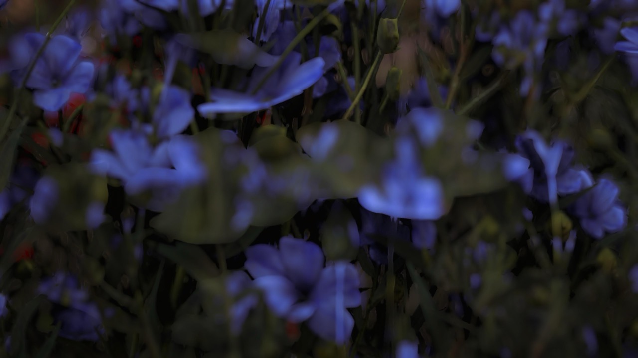 Studies on Breaking Immersion